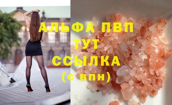 СК Магас