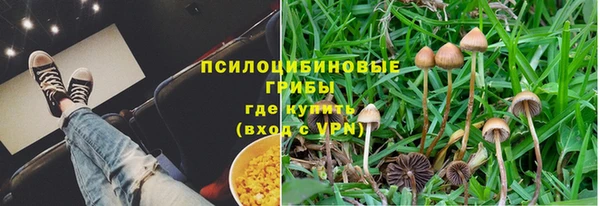 СК Магас