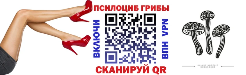 Псилоцибиновые грибы мицелий  где купить наркоту  OMG tor  Фатеж 